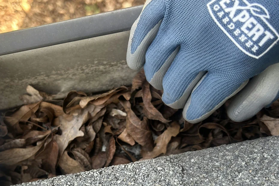 Gutter Cleaning Lynchburg