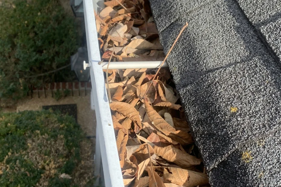 Gutter Cleaning Lynchburg