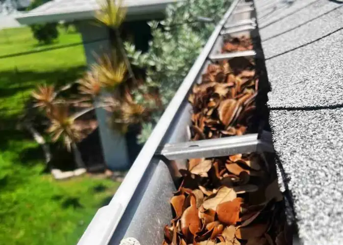 Gutter Cleaning Lynchburg home page